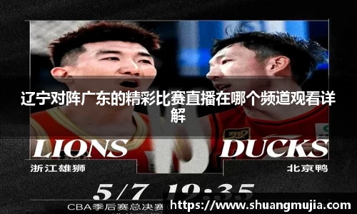 辽宁对阵广东的精彩比赛直播在哪个频道观看详解